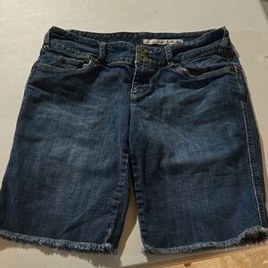 American Eagle Outfitters Blue Denim Jean Shorts